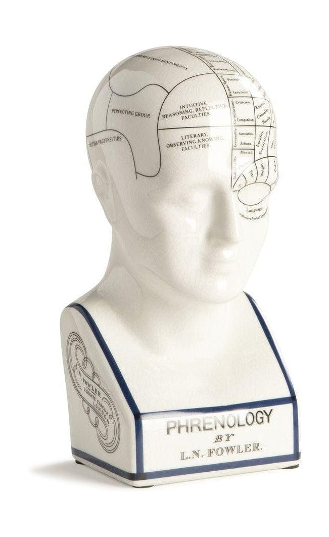 Autentyczne modele frenologiczne głowa