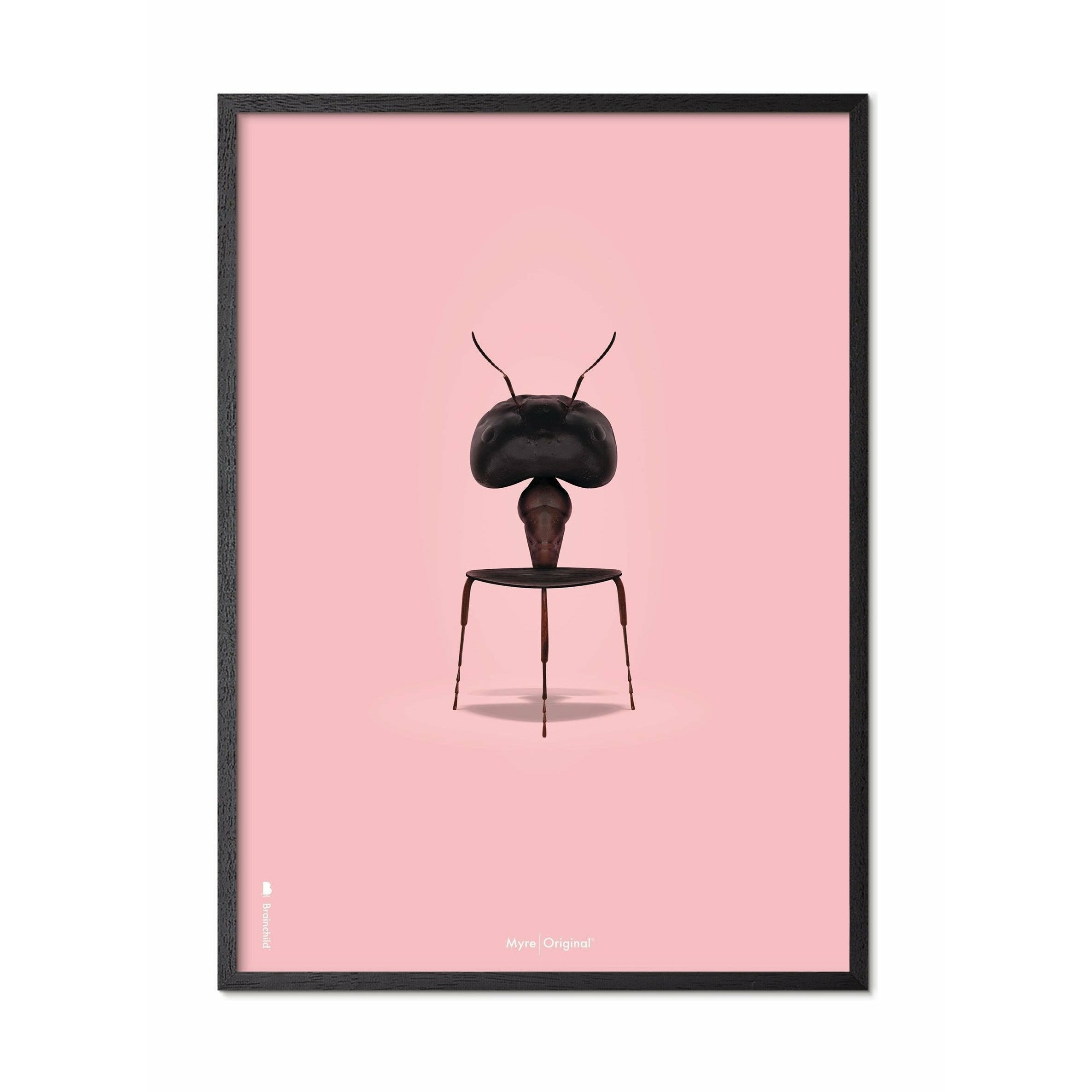 Pomysły Plakat Ant Ant, rama w czarnym lakierowanym drewnie 50x70 cm, różowe tło