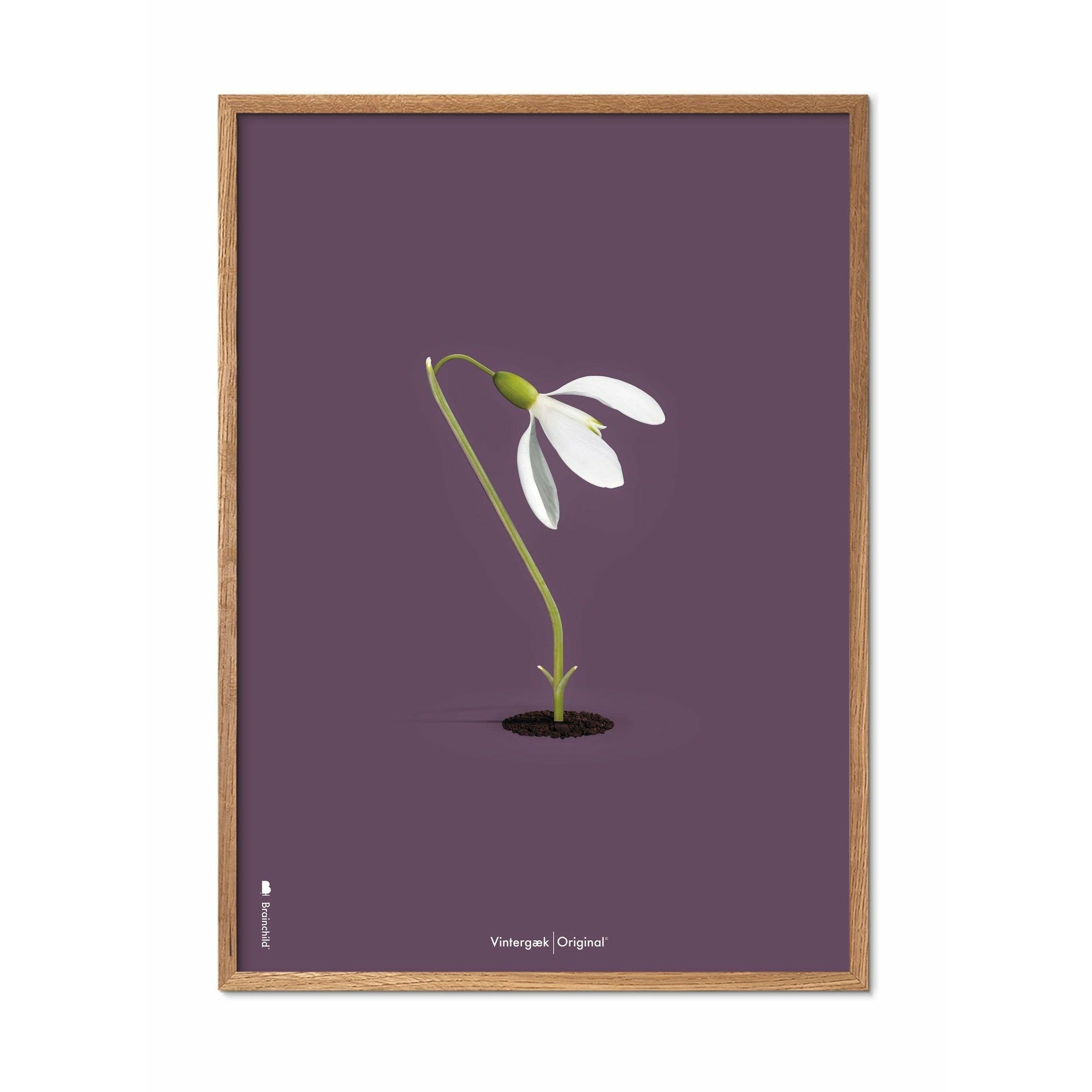 Pomysły Klasyczny plakat, rama wykonana z jasnego drewna 70x100 cm, fioletowe tło