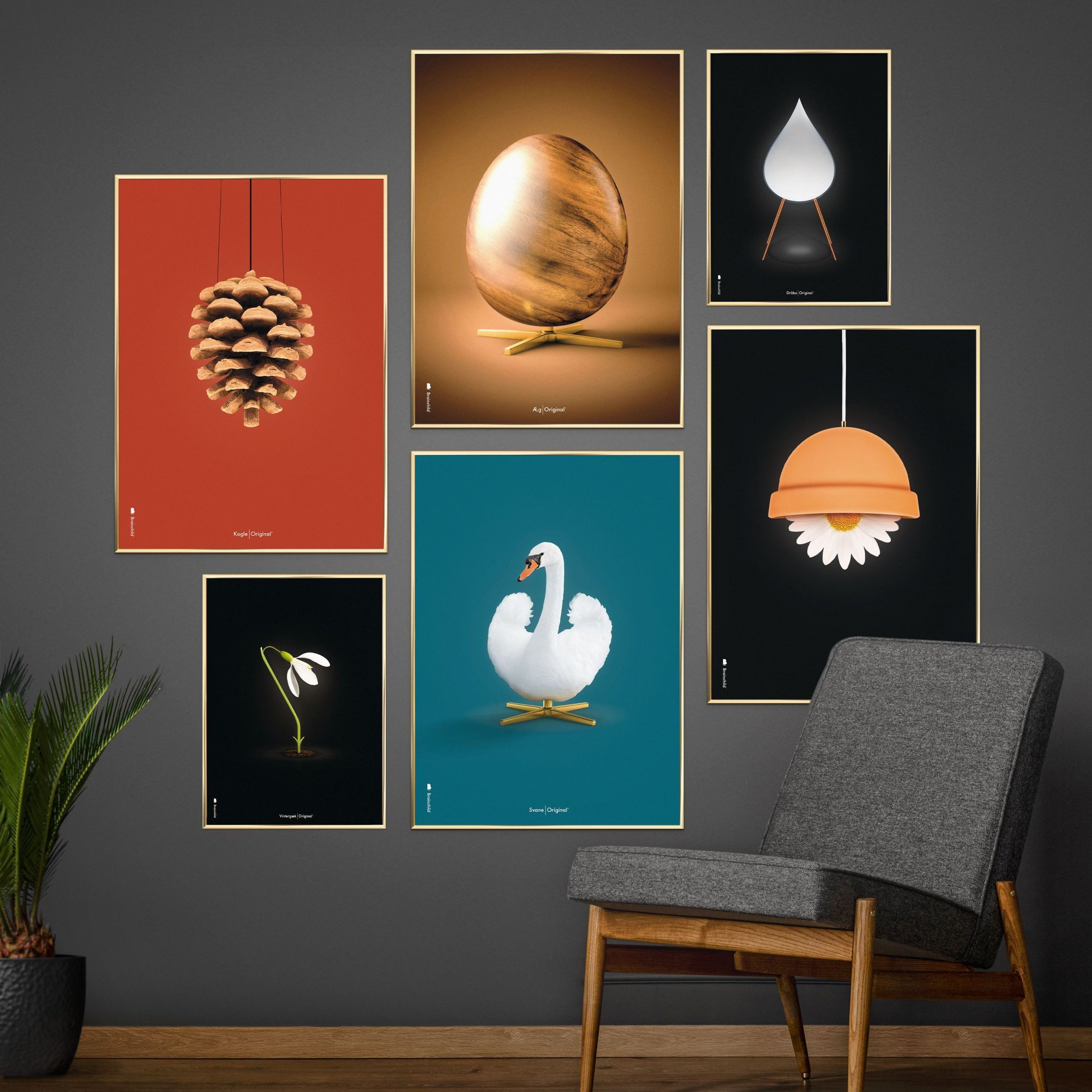 Pomysły Swan Classic Plakat, rama w czarnym lakierowanym drewnie 50x70 cm, ropy naftowe