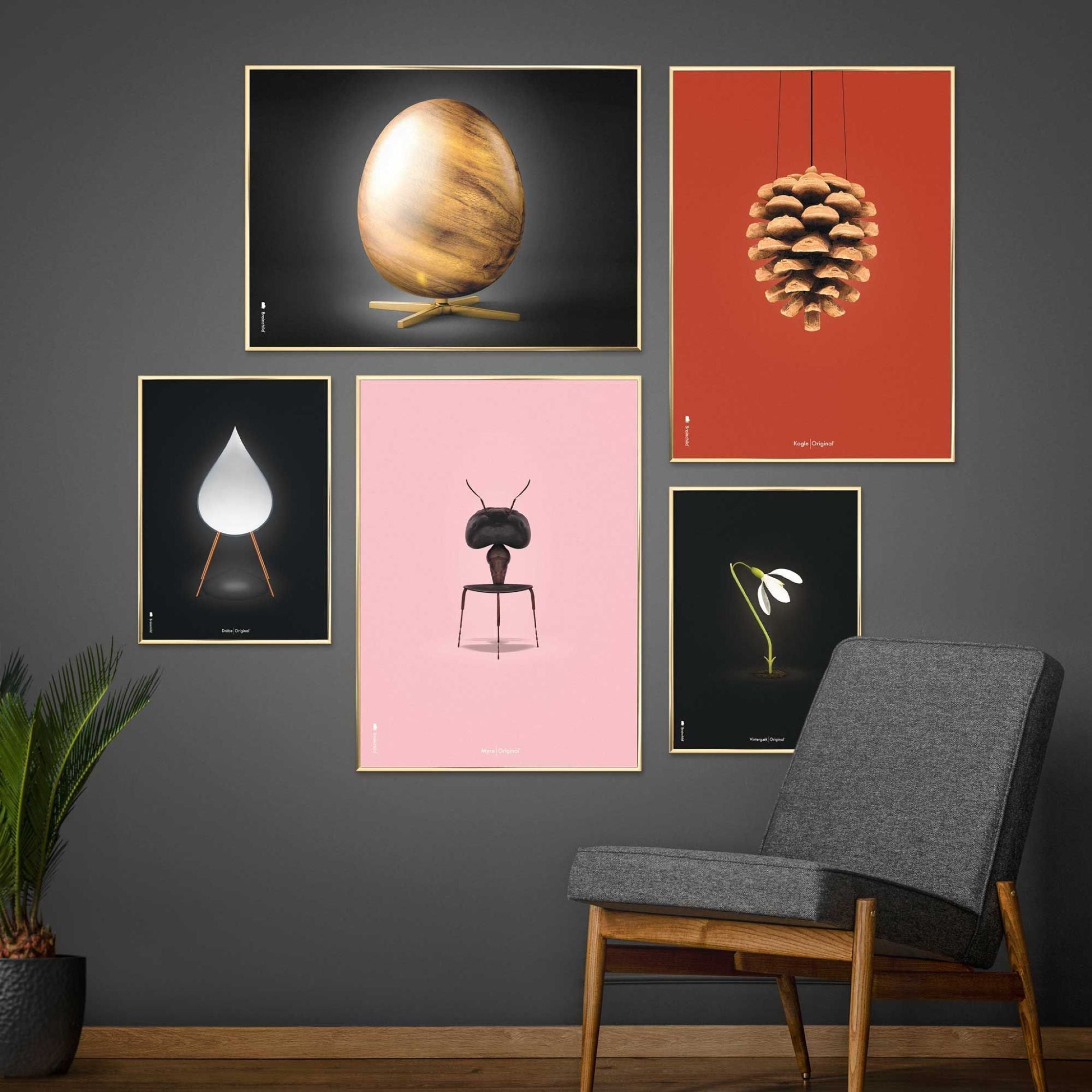 Brainchild Pine Cone Classic Poster, Brass Colored Frame 70 X100 Cm, Red Background