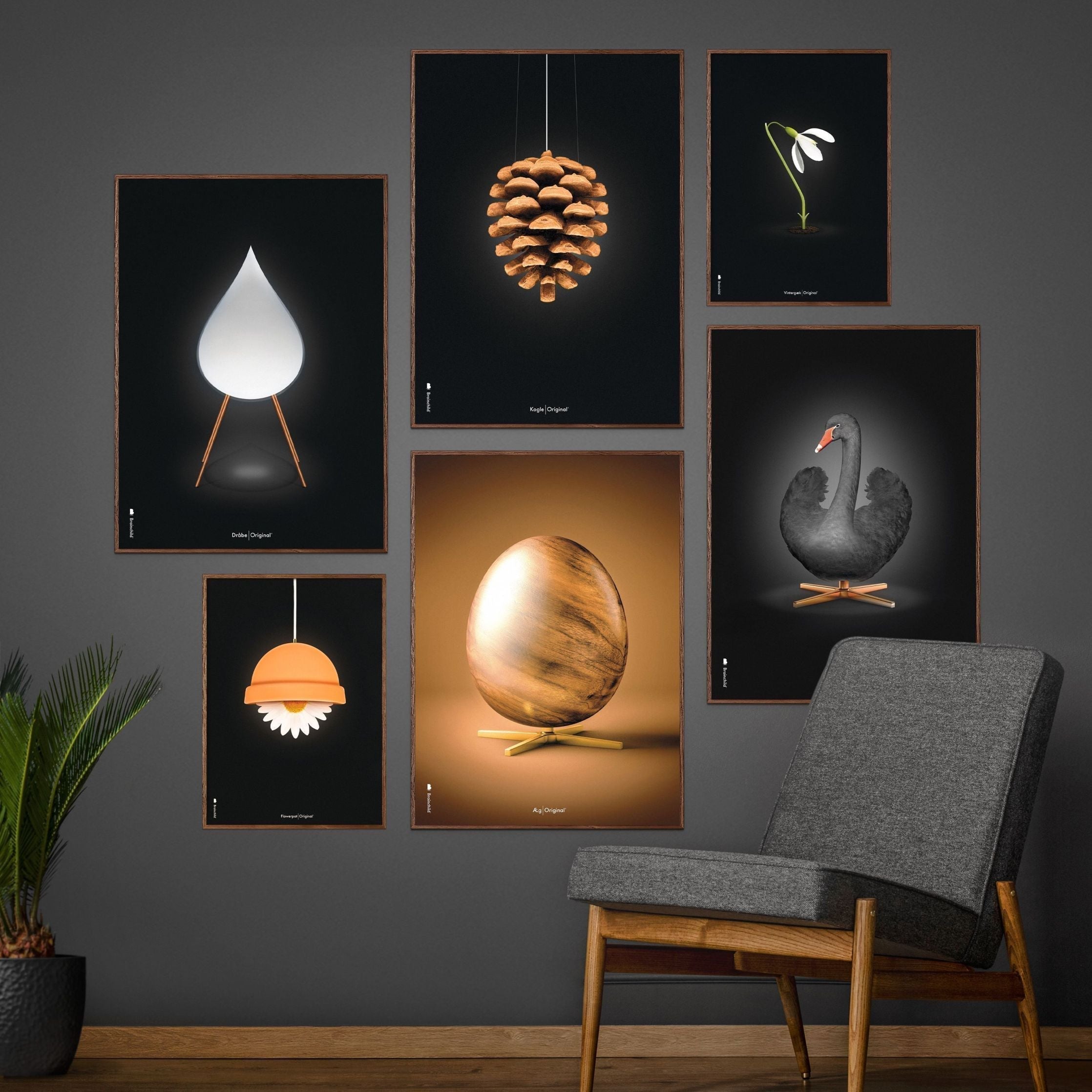 Brainchild Pine Cone Classic Poster, Frame Made Of Light Wood 30x40 Cm, Black Background