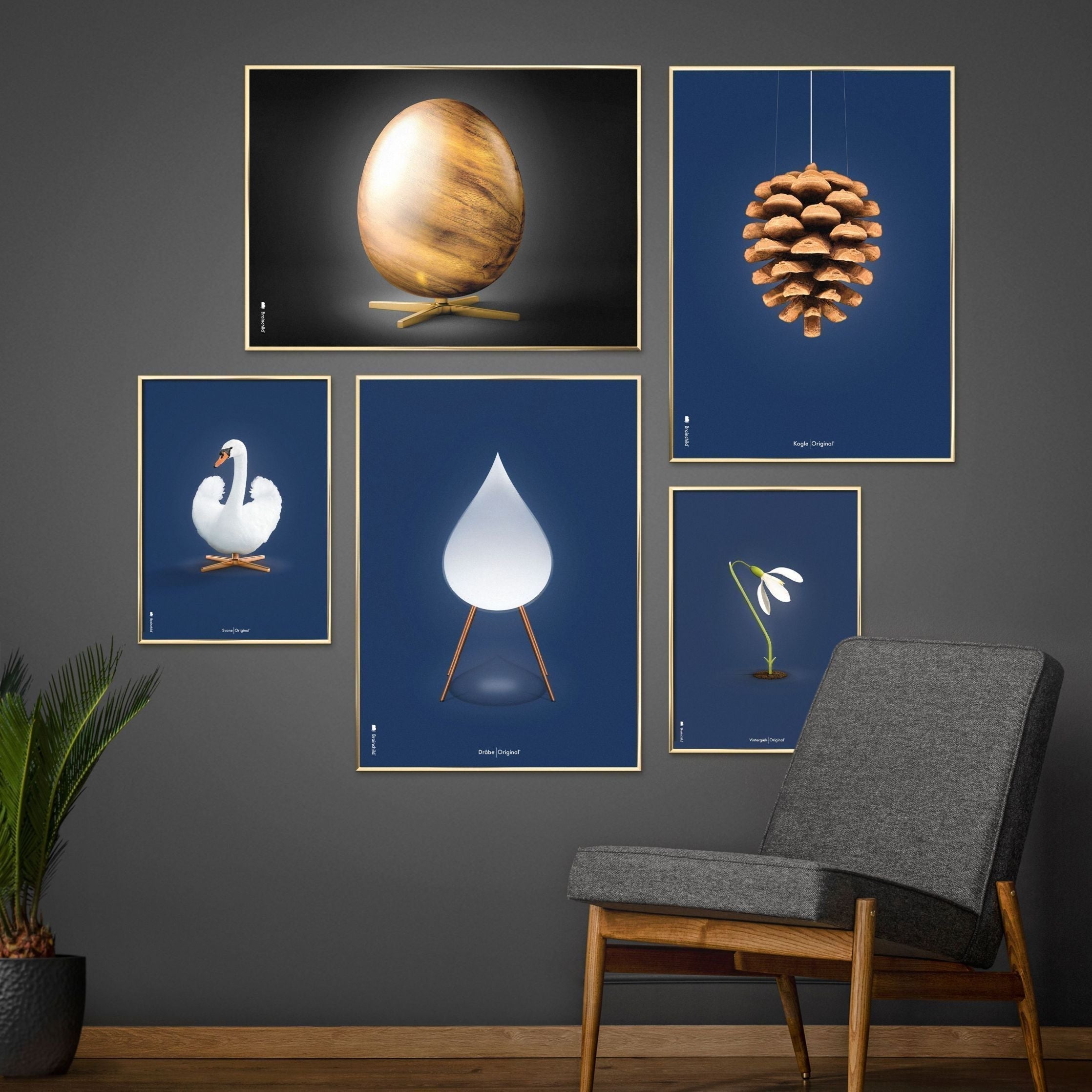 Brainchild Pine Cone Classic Poster, Frame Made Of Light Wood 70x100 Cm, Dark Blue Background