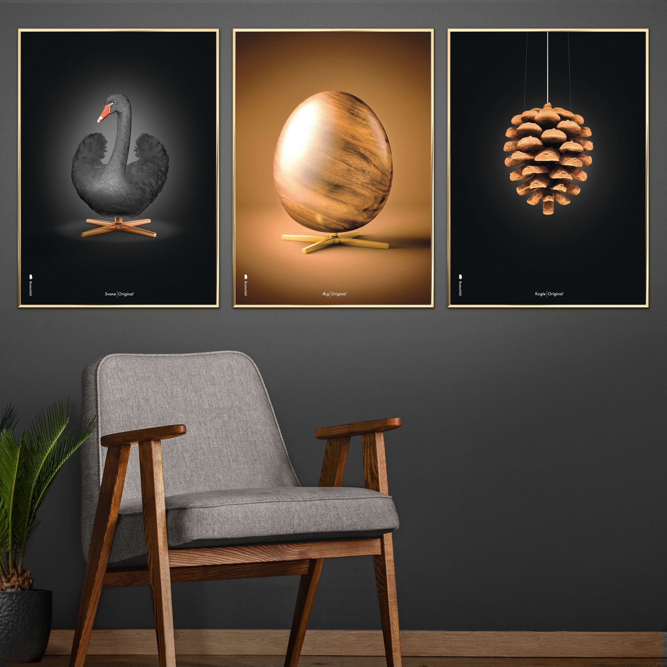 Brainchild Pine Cone Classic Poster, Frame In Black Lacquered Wood 30x40 Cm, Black Background