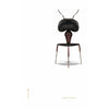 Pomysłowy plakat mrówek bez ramki A5, białe tło