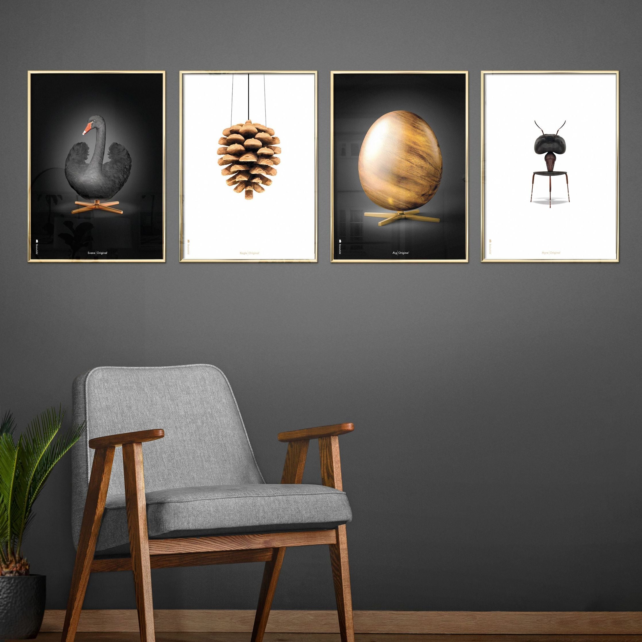 Pomysłowy plakat mrówek, ciemno drewniana rama 30x40 cm, białe tło