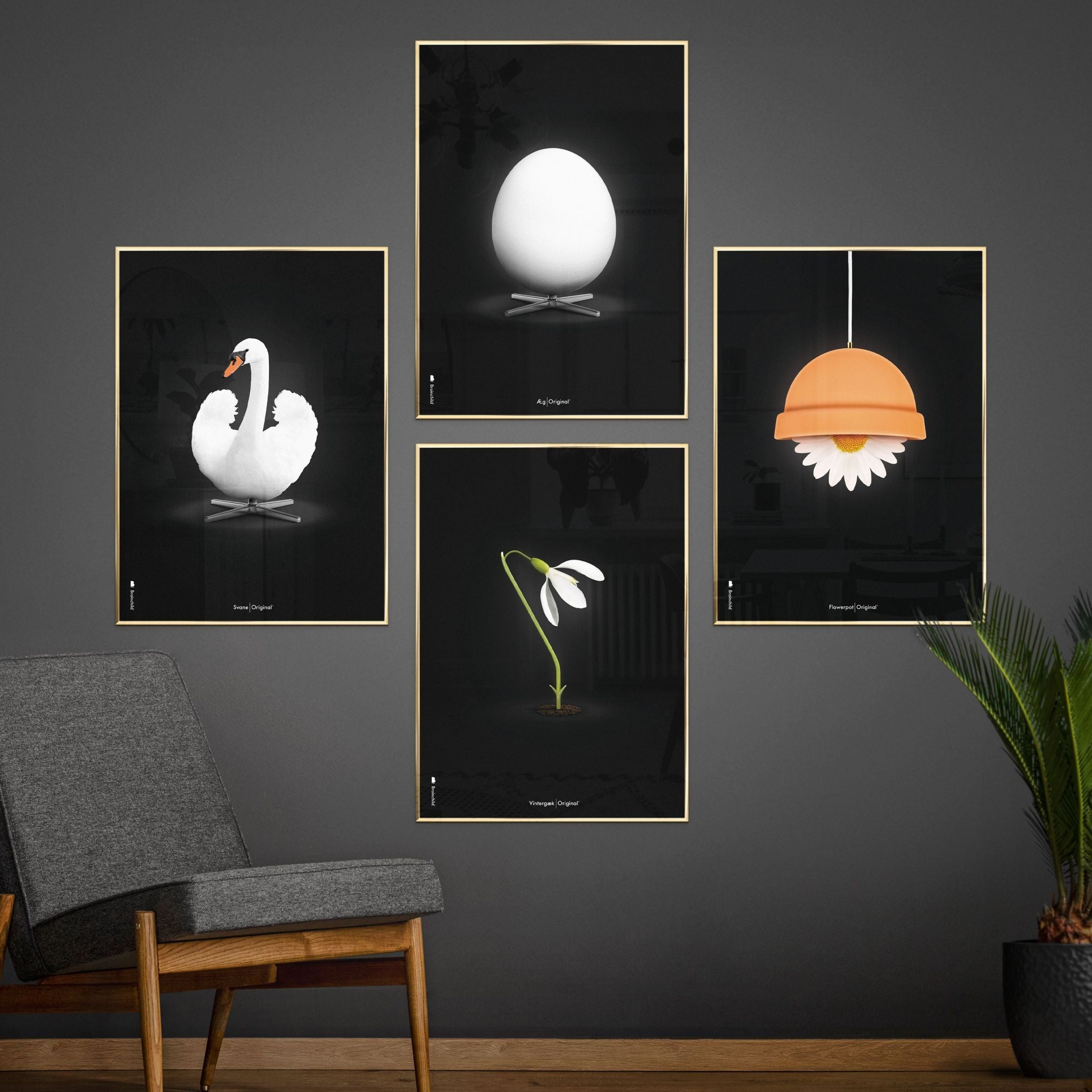 Brainchild Flowerpot Classic Poster, Frame Made Of Dark Wood 30x40 Cm, Black Background