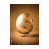 Poster z jajkiem pomysłu bez ramy 70 x100 cm, brązowy