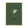 Brainchild Snowdrop Classic Poster, Brass Colored Frame A5, Green Background