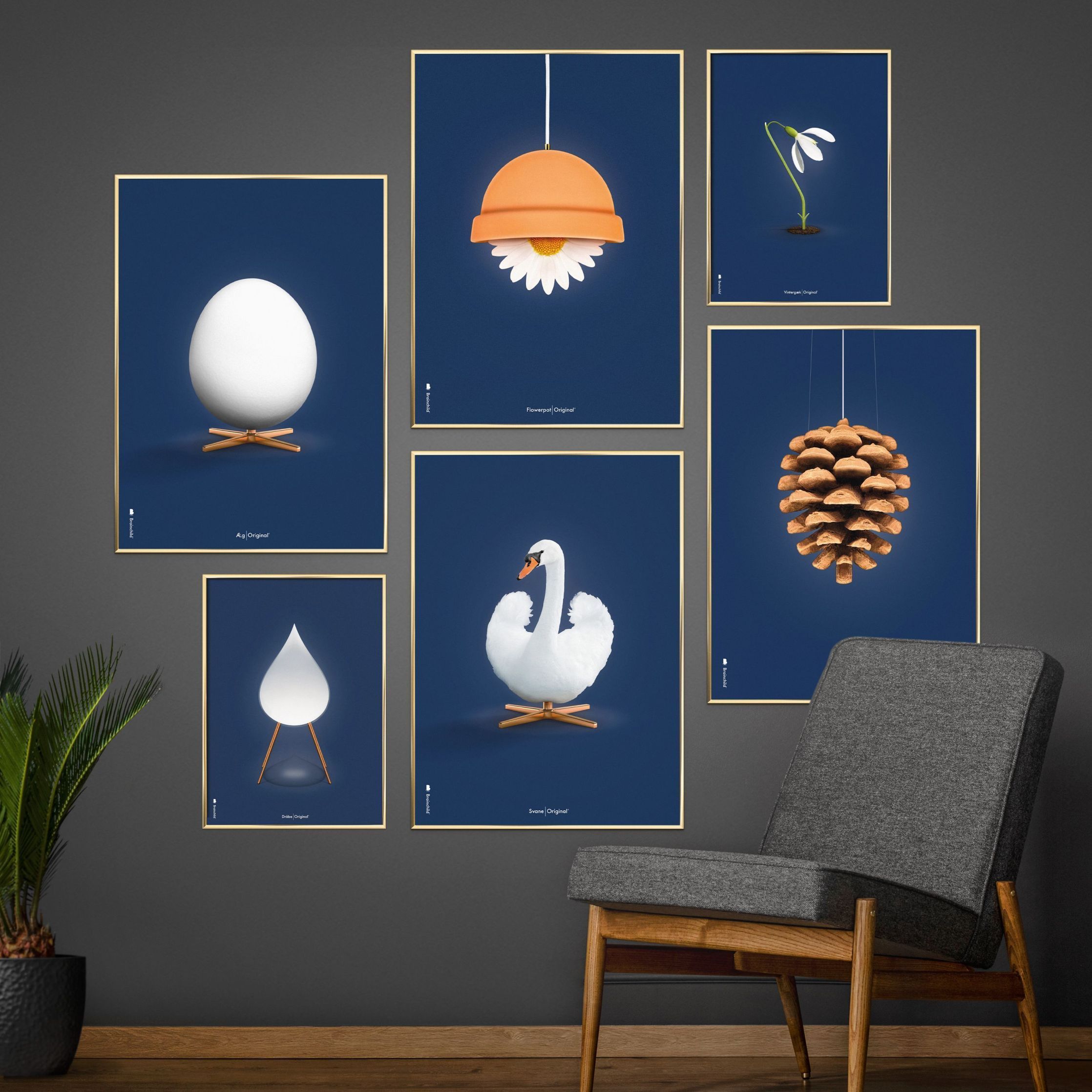 Pomysły Swan Classic plakat, mosiężna rama 50x70 cm, ciemnoniebieskie tło