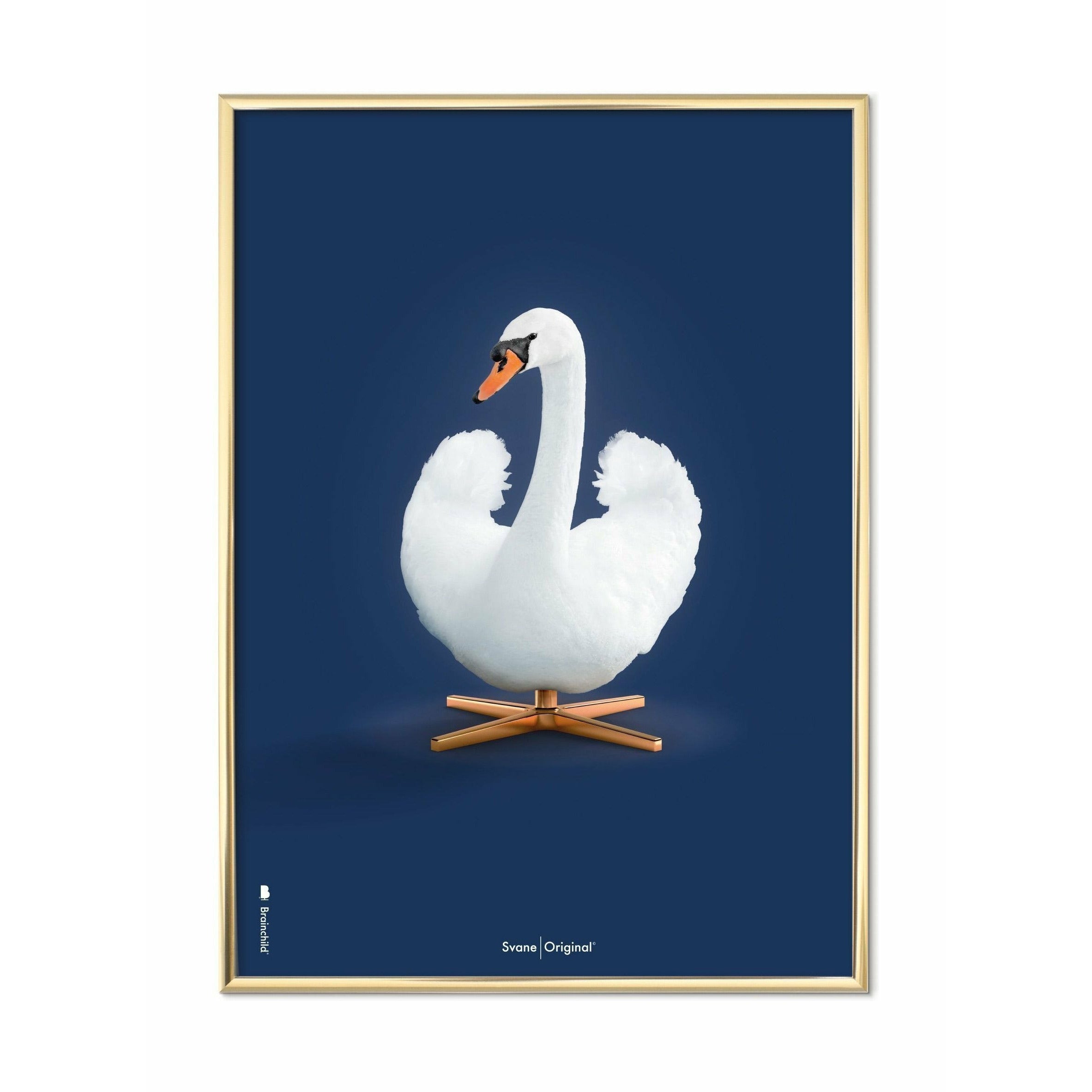 Pomysły Swan Classic plakat, mosiężna rama 50x70 cm, ciemnoniebieskie tło