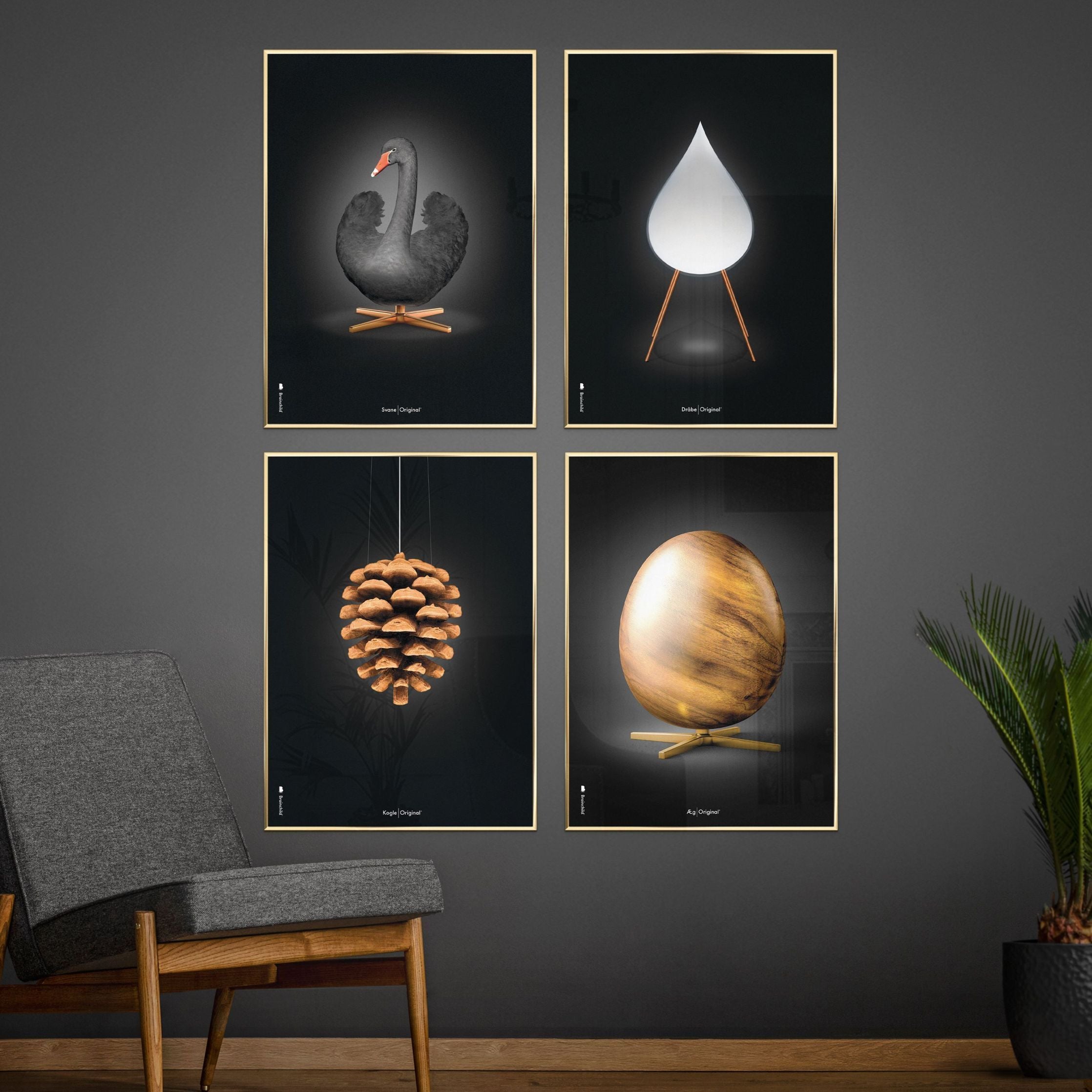 Pomysły Swan Classic Plakat, rama wykonana z ciemnego drewna 50x70 cm, czarne/czarne tło