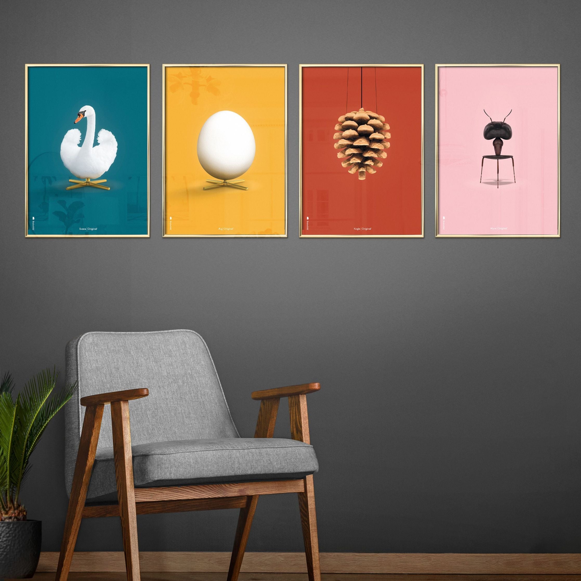 Pomysły Swan Classic Plakat, Light Wood Frame 70 x100 cm, ropopochodne tło