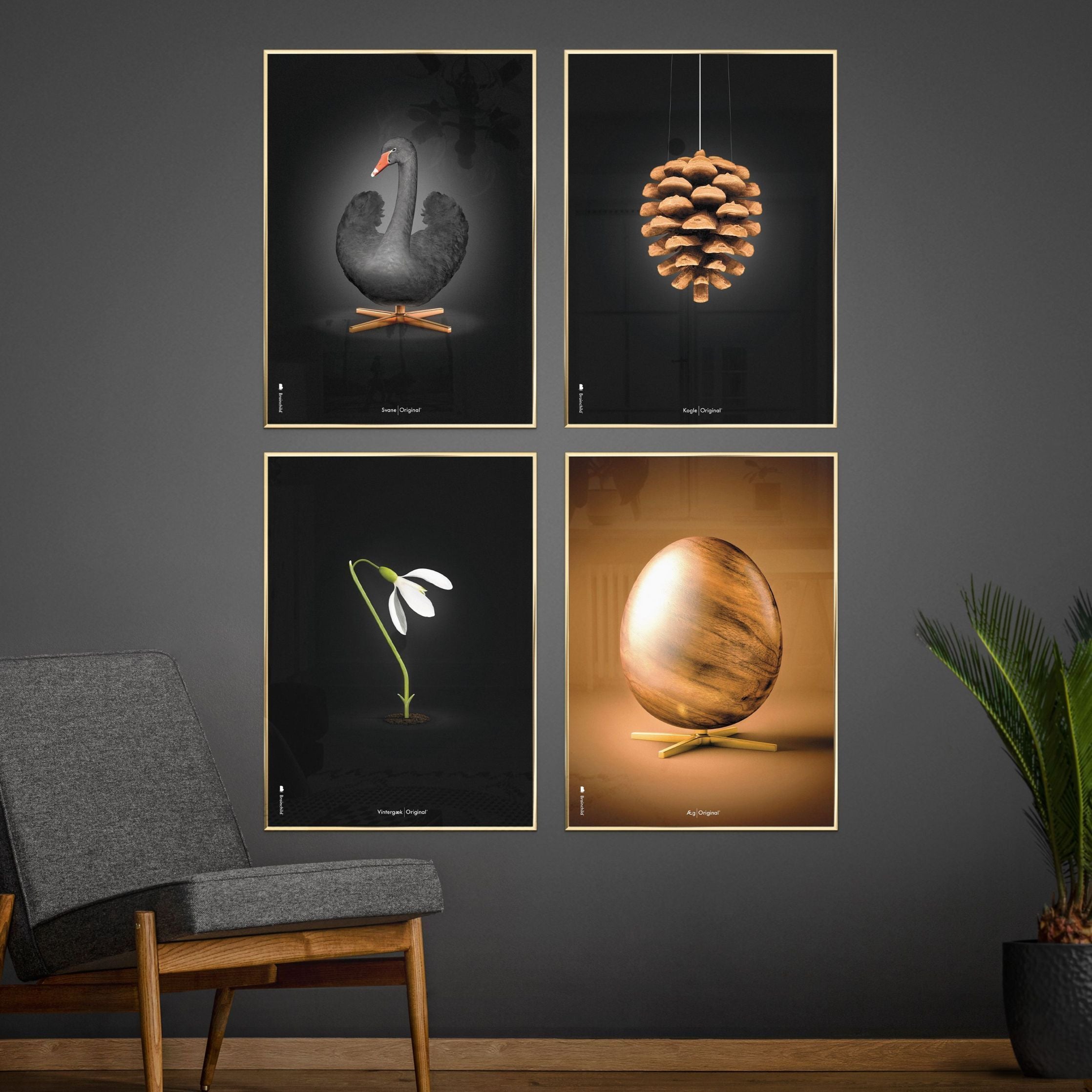 Pomysły Swan Classic Plakat, Light Wood Frame A5, czarne/czarne tło