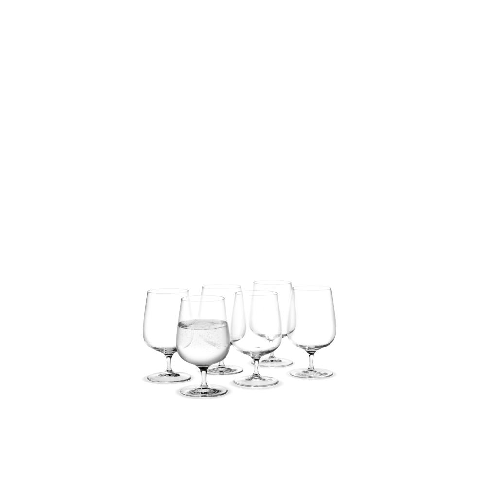 Holmegaard Bouquet Water and Beer Glass, 6 szt.