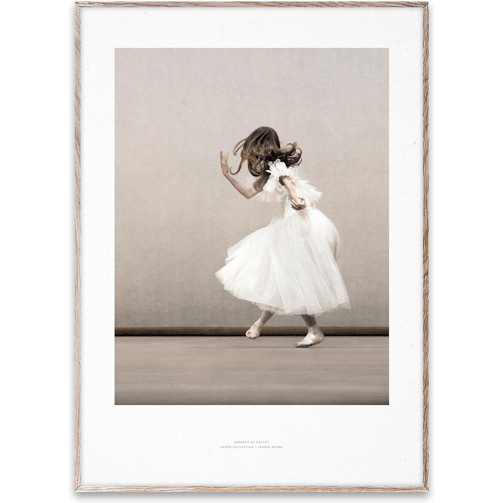 Papierowa zbiorowa esencja baletu 02 plakat, 30x40 cm