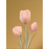 Vissevasse Tulip Plakat 15 x 21 cm, bursztyn
