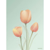 Vissevasse Tulip Plakat 30 x40 cm, mennica